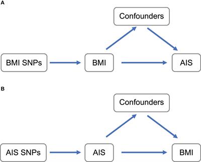 Evidence of causality of low body mass index on risk of adolescent idiopathic scoliosis: a Mendelian randomization study